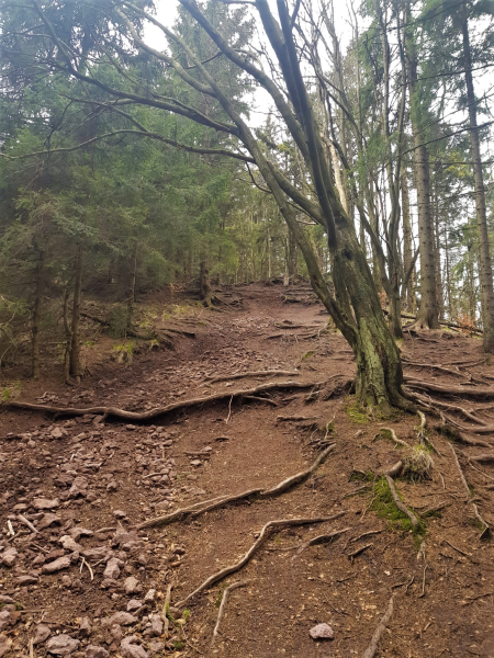 Spicak - Vakantiehuis Domecek S Vyhledem